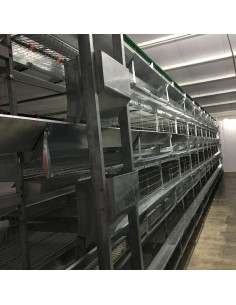 Клітка для утримування курей-несучок тип БКН, кліткова батарея