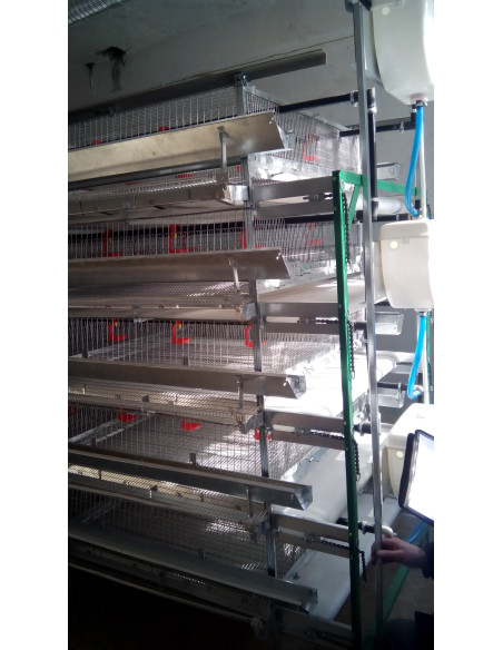 Клітка утримування перепелів тип БКП, кліткова батарея