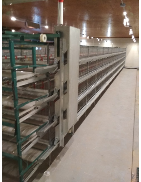 Клітка підрощування молодняку: каченят, курей, бройлерів, з