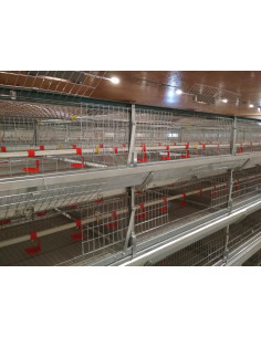 Клітка підрощування молодняку: каченят, курей, бройлерів, з 2