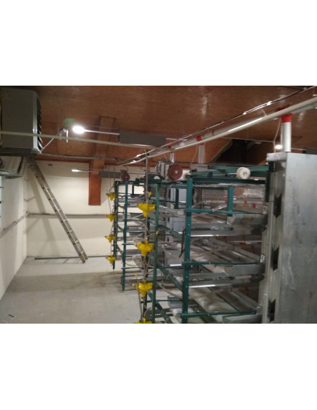 Клітка підрощування молодняку: каченят, курей, бройлерів, з