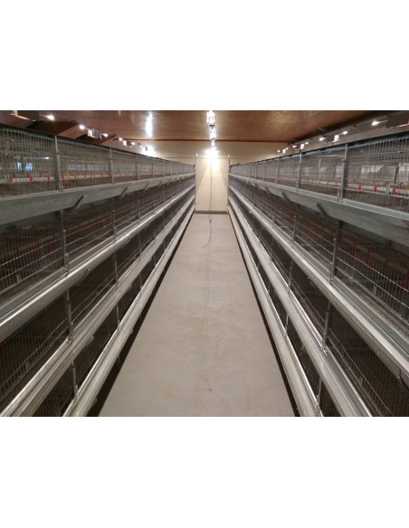 Клітка підрощування молодняку: каченят, курей, бройлерів, з